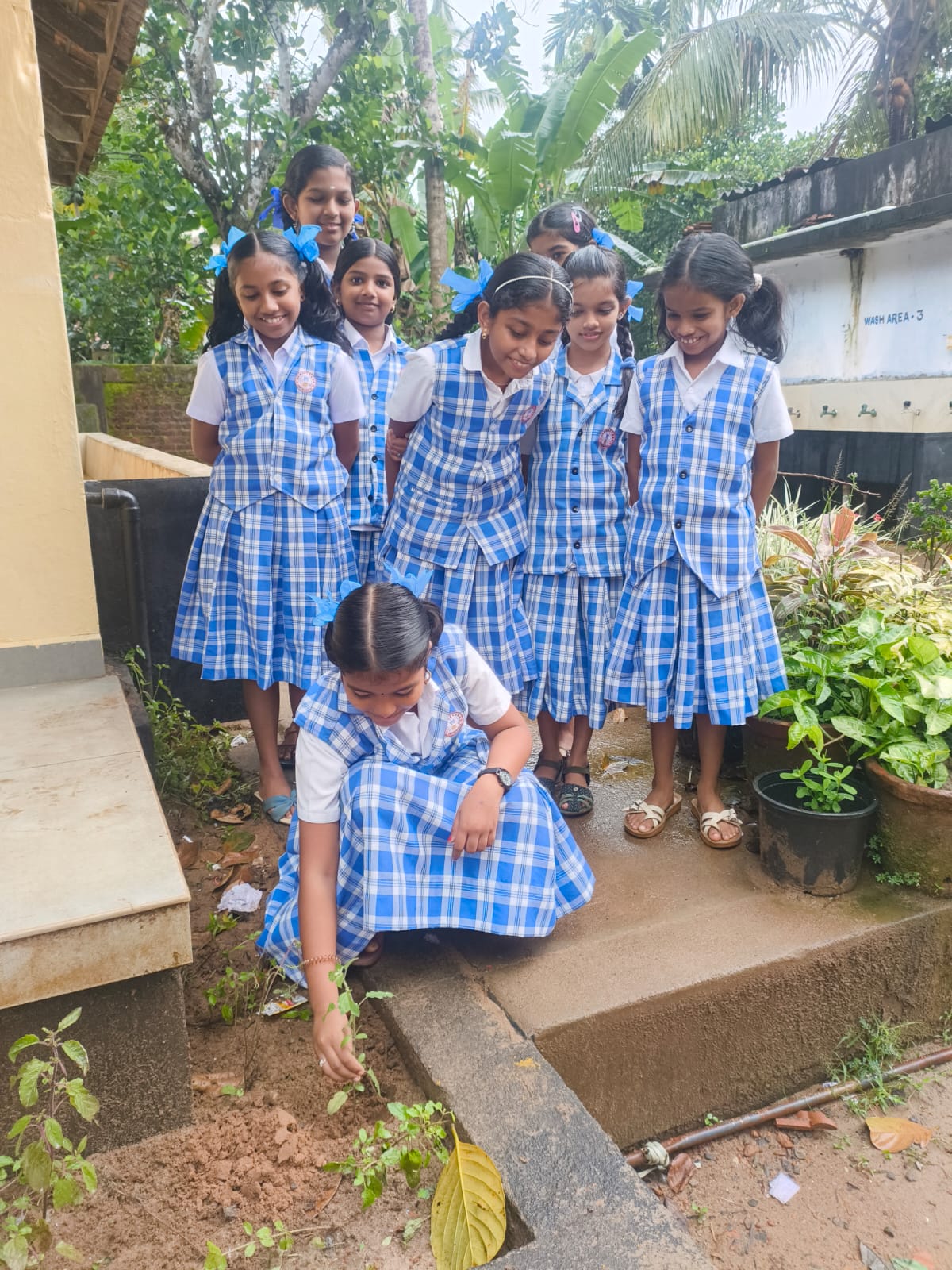 Environment day