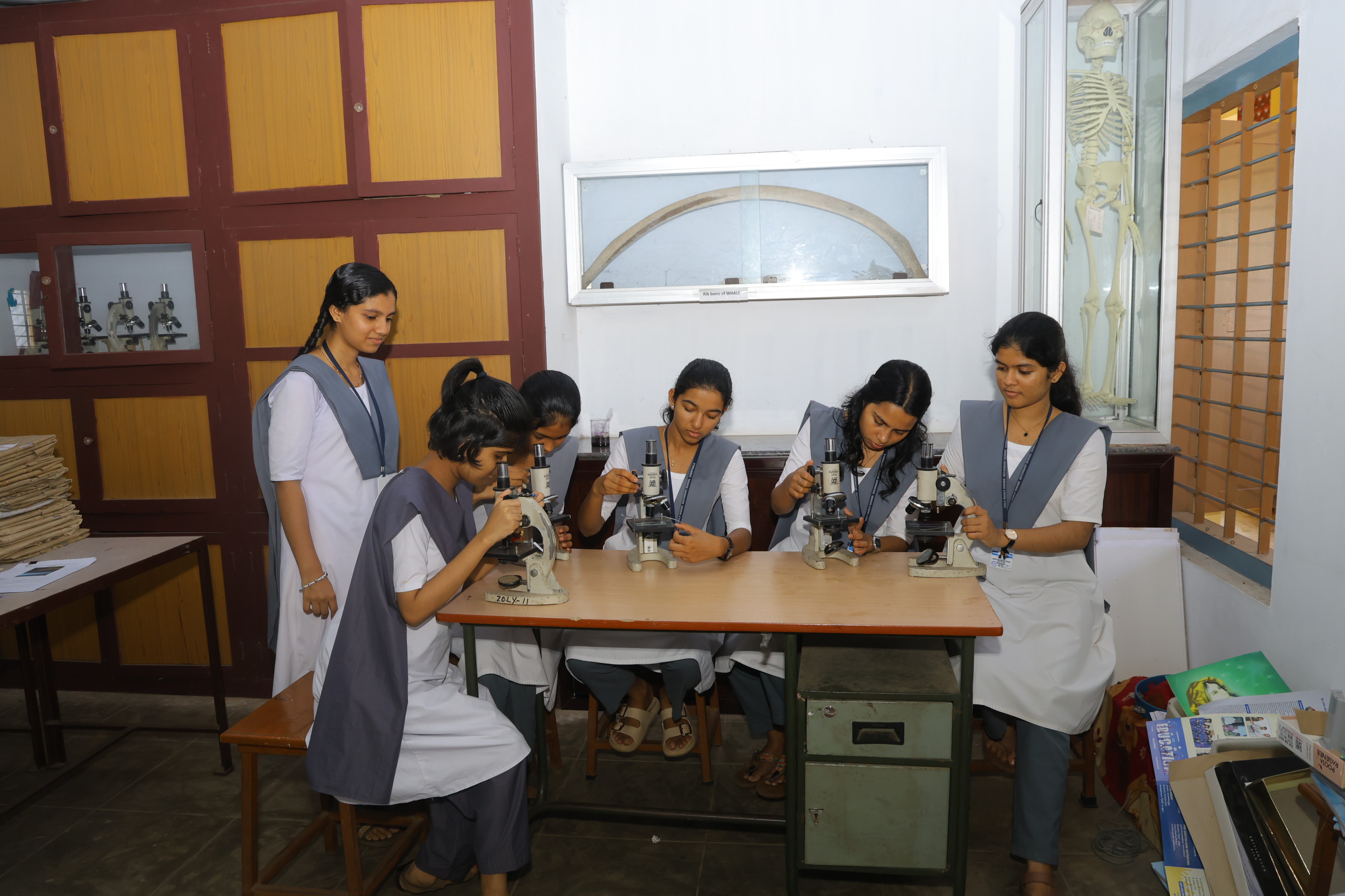 Botany Lab — photo 4